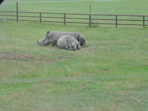 Longleat House & Safari Park