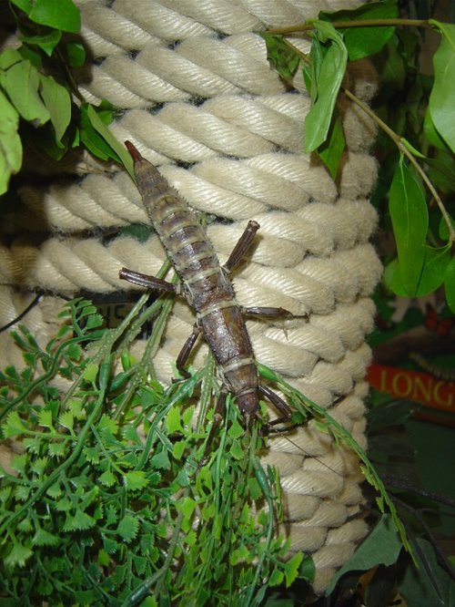 Longleat House & Safari Park