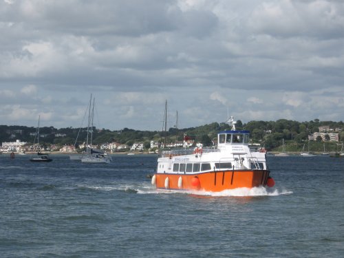 Brownsea Island