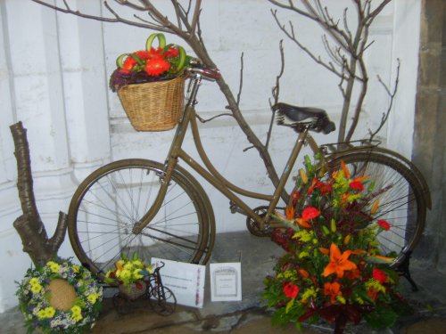 I wondered where I left my bike