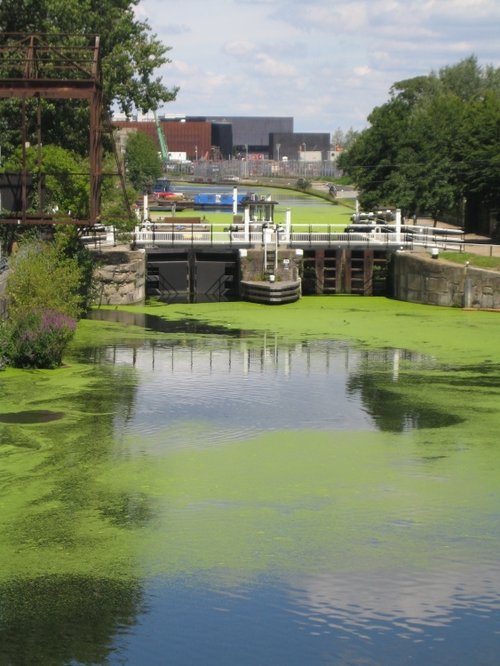 All quiet on the eastern front!