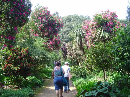 Abbotsbury Gardens