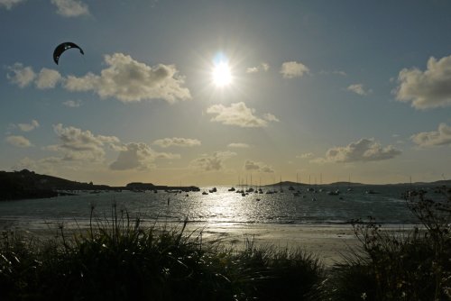 Stimmulating Evening