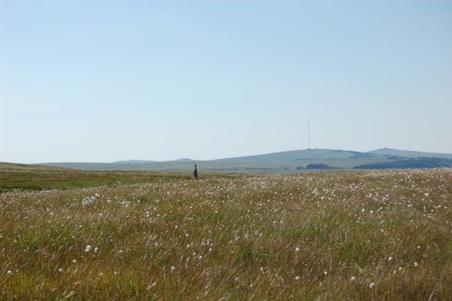 Dartmoor National Park