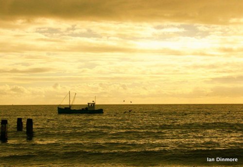 Early morning home to port