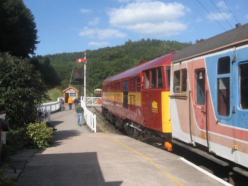 Railway in the Forest