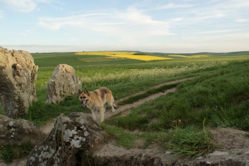 West Kennett Long Barrow