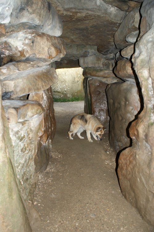 Sadie inside the barrow