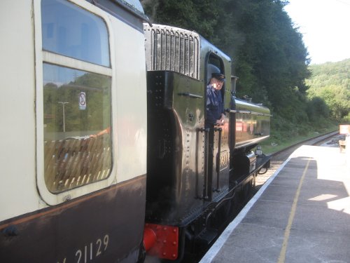 Steaming to the Forest