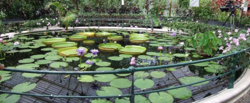 Kew Royal Botanical Gardens