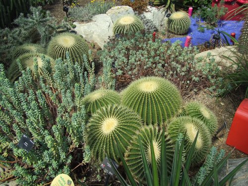 Kew Royal Botanical Gardens