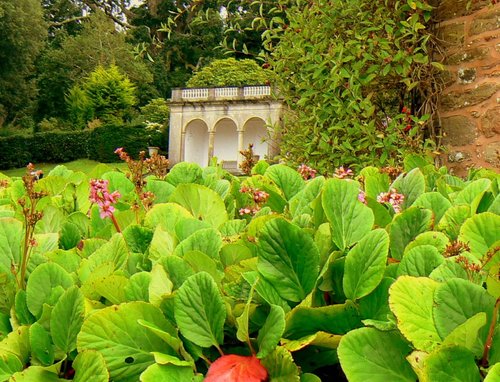 Mount Edgcumbe Country Park