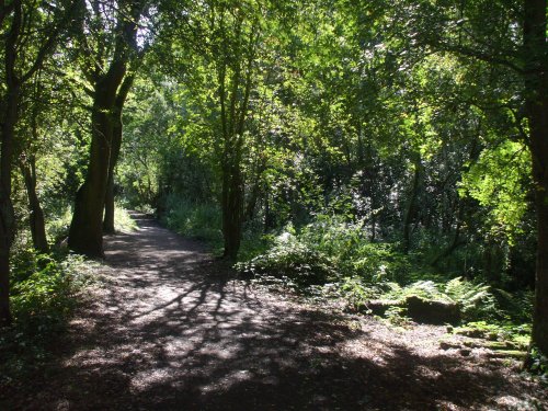 Track through Hartsholme Park, Lincoln