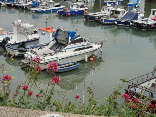 Fokestone Harbour