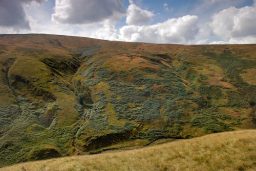 Forest of Bowland