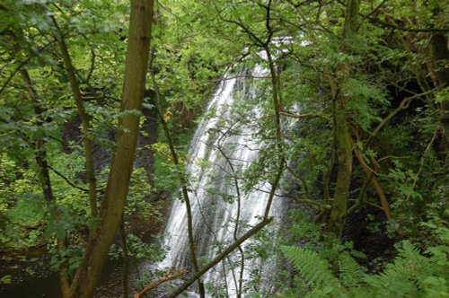 AysGill Force