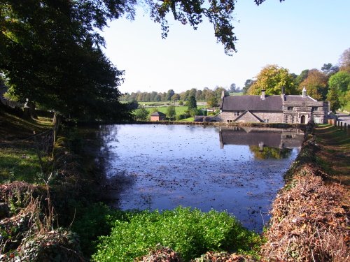 Tissington Village pond