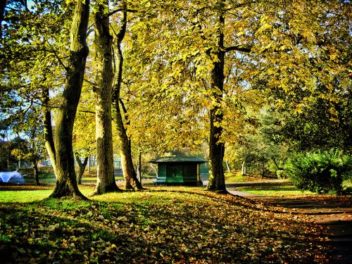 Autumn Bandstand, Hesketh Park