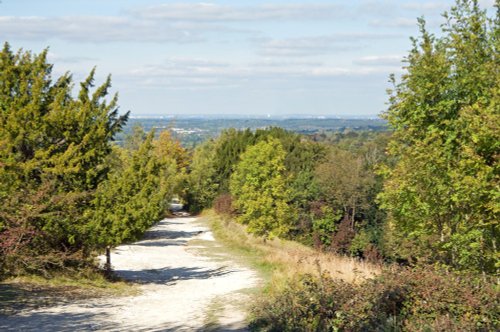Box Hill Country Park