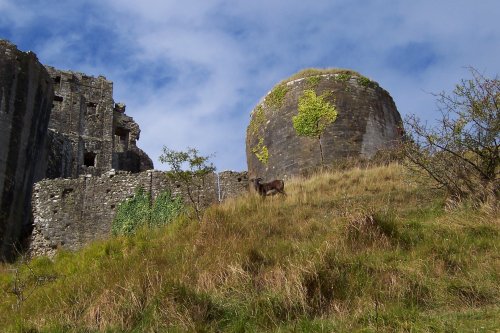 Corfe Castle