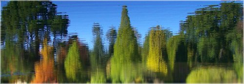 Reflection on the lake