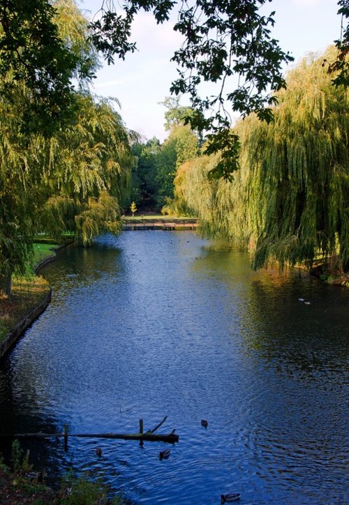 One of the lakes at Leeds Castle