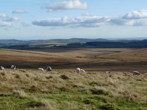Dartmoor National Park