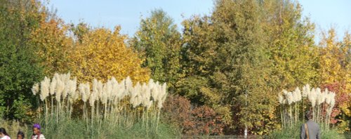 London Wetland Centre