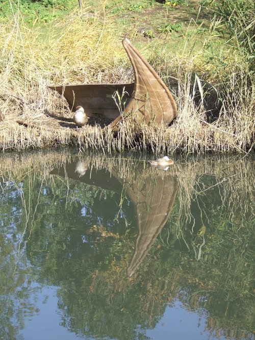 London Wetland Centre