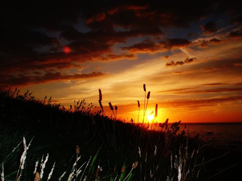 St Ives sunset