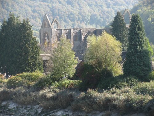 Tintern Abbey