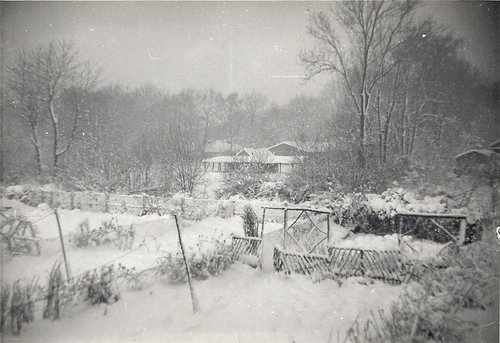 Winter Snow in Bricket Wood nr St Albans.