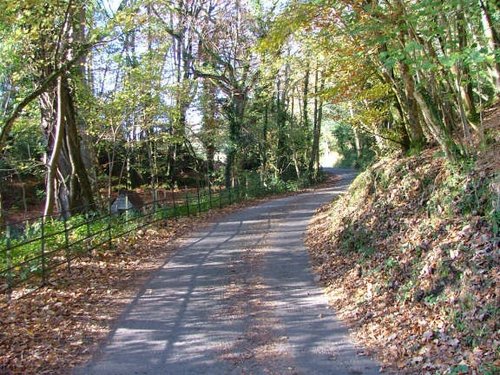 Country lane in Newbridge