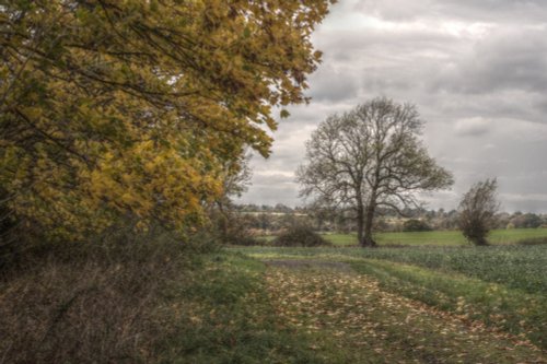 Farmland at Godington, Oxfordshire