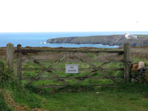 Carnewas & Bedruthan Steps