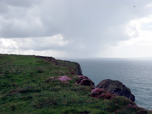 Carnewas & Bedruthan Steps