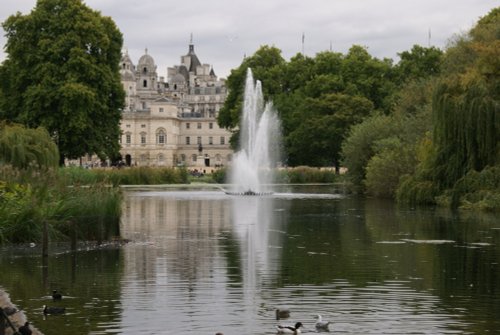 The country in the city