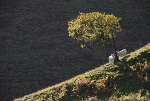 Peak District National Park