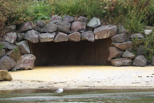 Longleat House & Safari Park