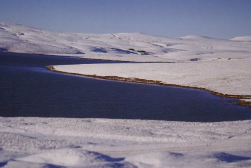 Nice if you can get here