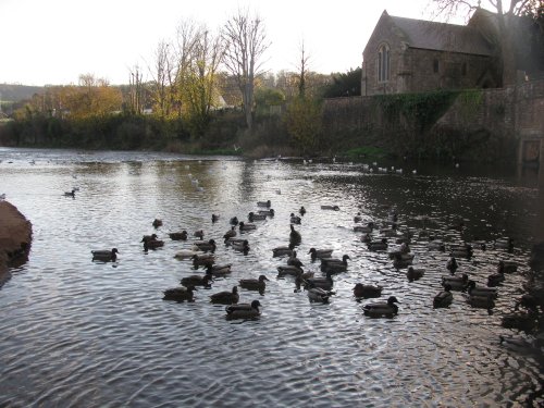 Monnow Mallards