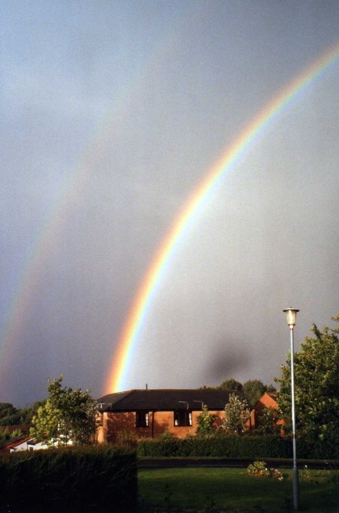 Suburban Rainbow