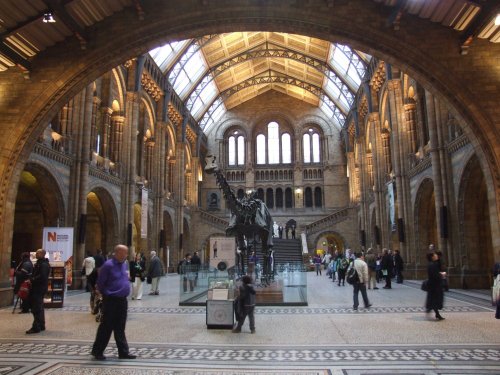 The Natural History Museum