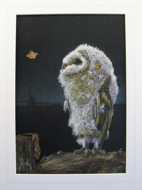 Owlet and Moth at Wheatley Windmill