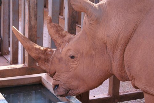 South Lakes Wild Animal Park, Dalton-in-Furness