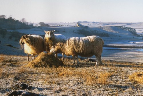 North York Moors National Park