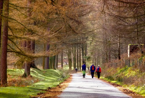 A walk around Derwent