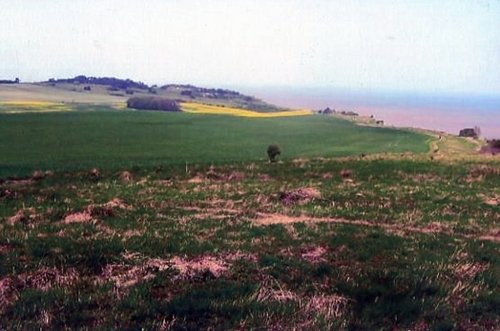 St Margaret's at Cliffe