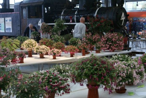 Locomotion - The National Railway Museum