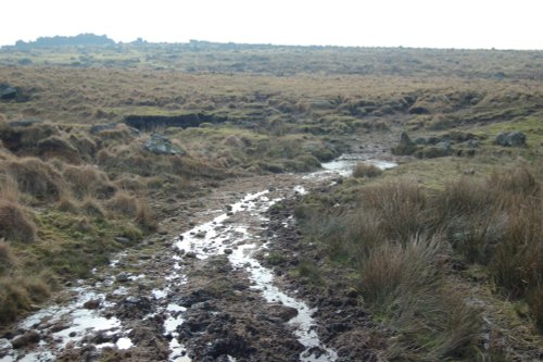 Dartmoor National Park